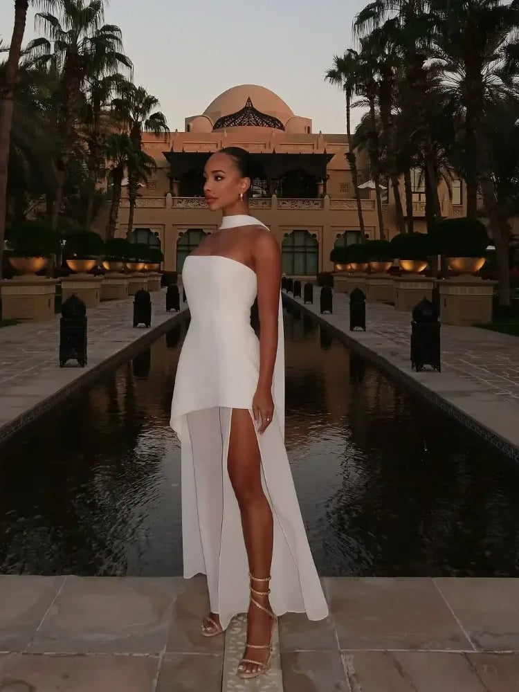 Lisa Flowing Evening Gown with Sheer High Neckline