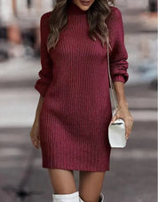 High Collar Ribbed Knitted Sweater Dress