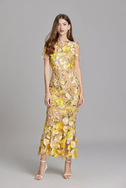 Stephanie Embroidered Maxi Dress with Sheer Overlay