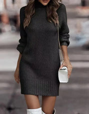 High Collar Ribbed Knitted Sweater Dress